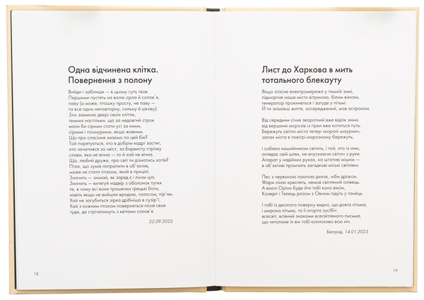 Паперова книга «Сили безплотні, людські й безпілотні», автор Ганна Яновська - фото №1