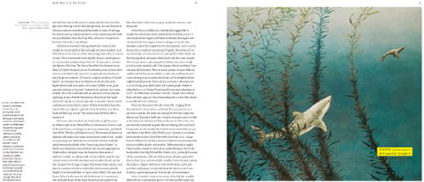 Бумажная книга «Big Fish», автор Ричард Эллис - фото №1