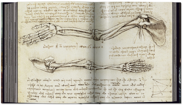 Паперова книга «Leonardo. The Complete Paintings and Drawings», авторів Йоханнес Натан, Франк Зольнер - фото №1