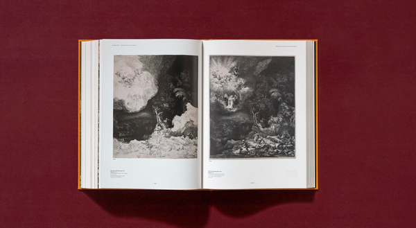 Паперова книга «Rembrandt. The Complete Drawings and Etchings», авторів Пітер Шетборн, Ерік Хінтердінг - фото №1