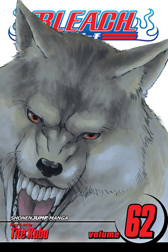 Паперова книга «Bleach. Volume 62», автор Тайто Кубо - фото №1