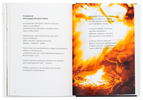 Паперова книга «Обліпиха», автор Олена Левченко - фото №1