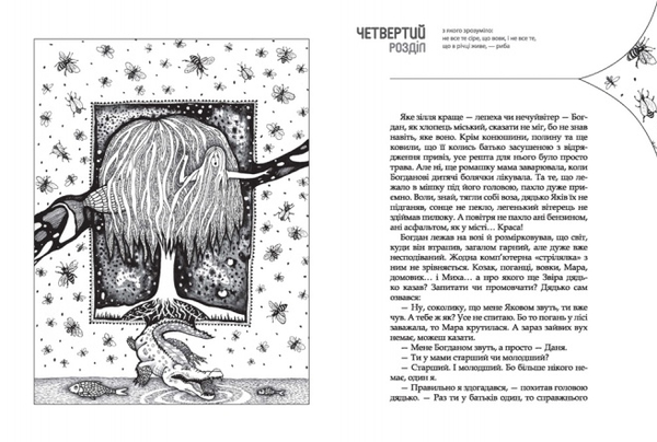 Паперова книга «Чарівна брама», авторів Валерій Лапікура, Наталя Лапікура - фото №1