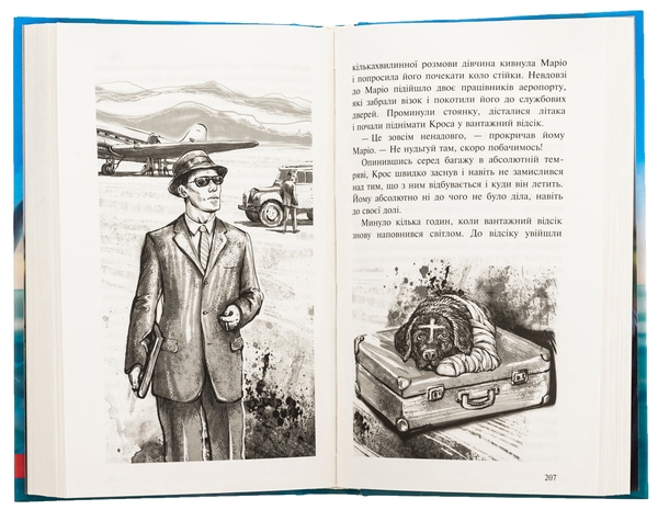 Бумажная книга «Пригоди містера Кроса. Неймовірна подорож собаки-мандрівника», автор Лео Сульман - фото №1