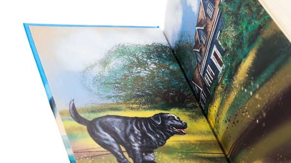 Бумажная книга «Пригоди містера Кроса. Неймовірна подорож собаки-мандрівника», автор Лео Сульман - фото №1