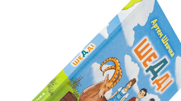 Бумажная книга «Шедді», автор Артем Швачка - фото №1