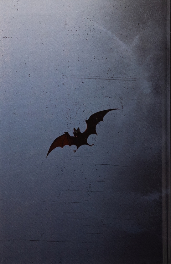 Бумажная книга «Відьомство. Історія одного страху», автор Рональд Хаттон - фото №1