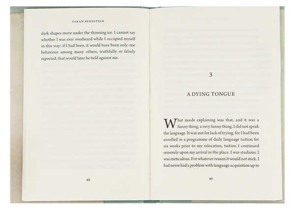 Паперова книга «Study for Obedience», автор Сара Бернштейн - фото №1