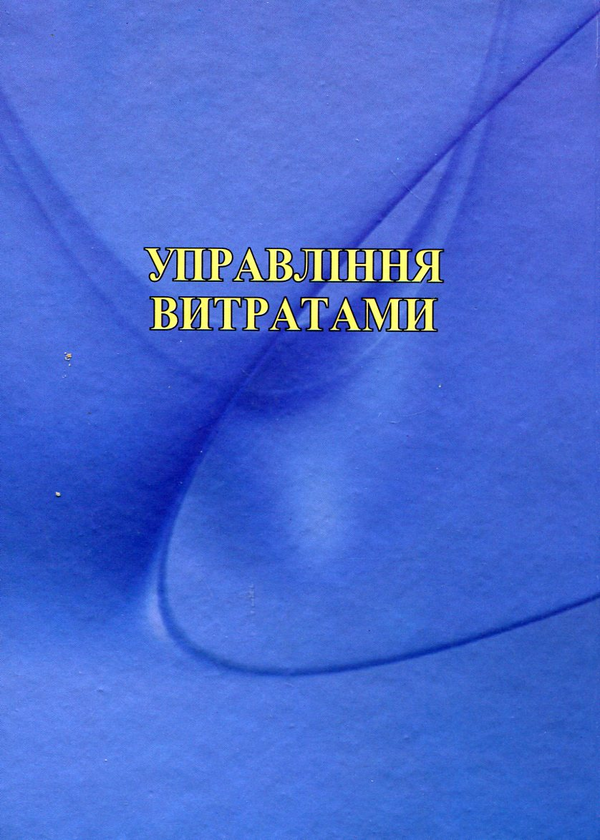 Бумажная книга «Управління витратами», авторов Михаил Грещак, Вячеслав Гордиенко, Алексей Коцюба, Юрий Лозовик - фото №1