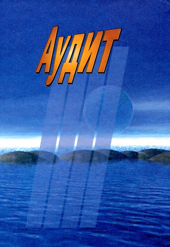 Паперова книга «Аудит», автор Володимир Савченко - фото №1