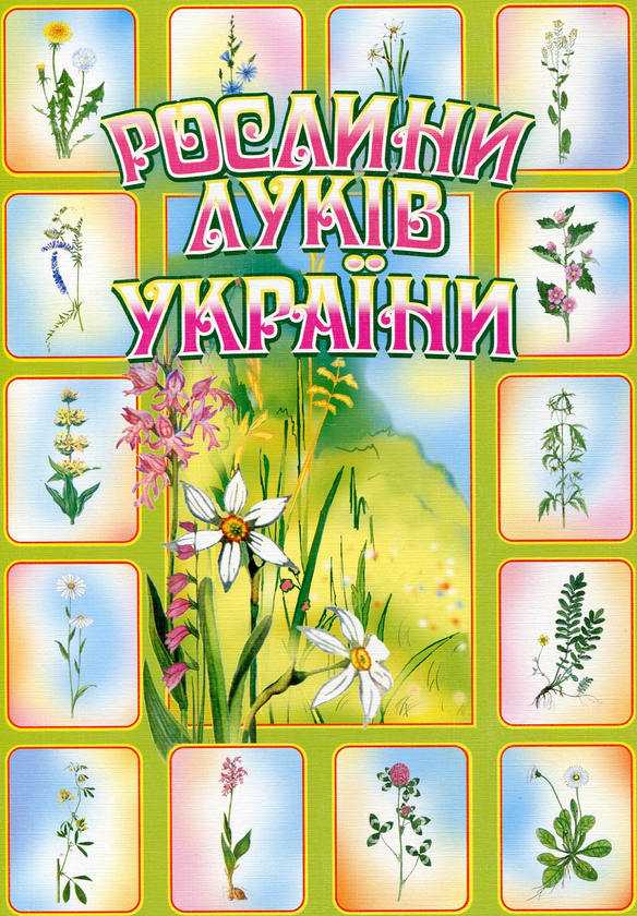Бумажная книга «Рослини луків України» - фото №1