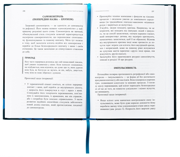 Паперова книга «Навички в гештальт-терапії», авторів Філ Джойс, Шарлотта Сіллз - фото №1