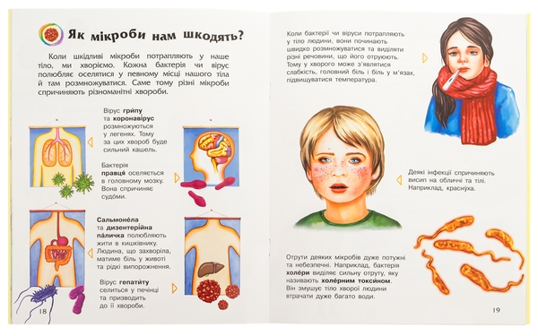 [object Object] «Енциклопедія дошкільника. Мікроби » - фото №4 - миниатюра