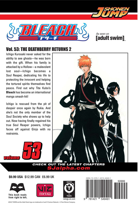 Бумажная книга «Bleach. Volume 53», автор Тайто Кубо - фото №1