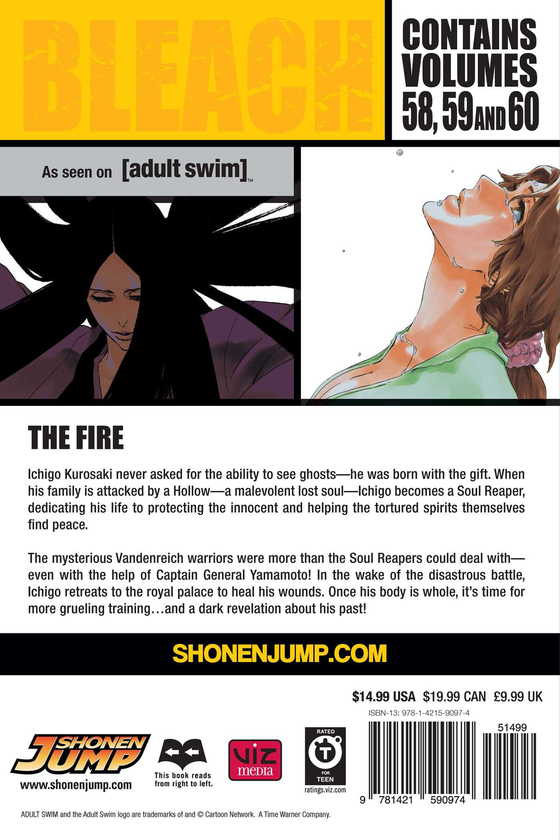 [object Object] «Bleach. 3-in-1 Edition. Volume 20», автор Тайто Кубо - фото №3 - миниатюра
