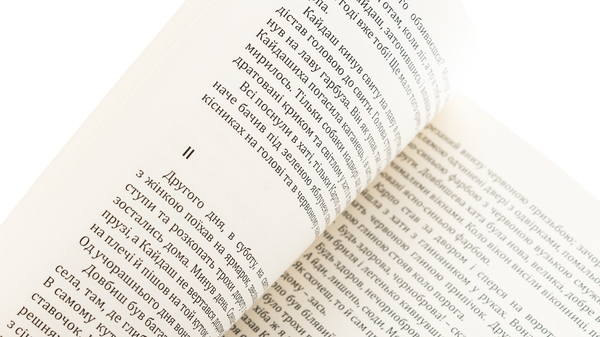 Бумажная книга «Кайдашева сім’я», автор Иван Нечуй-Левицкий - фото №1