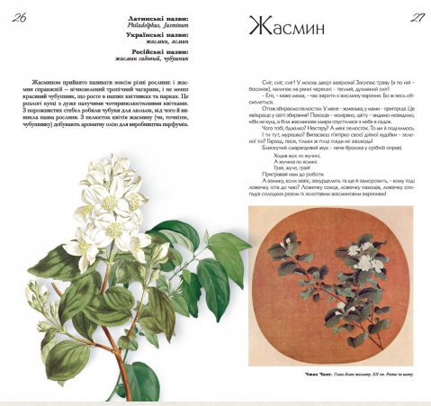 Бумажная книга «Український квітник», автор Зирка Мензатюк - фото №1