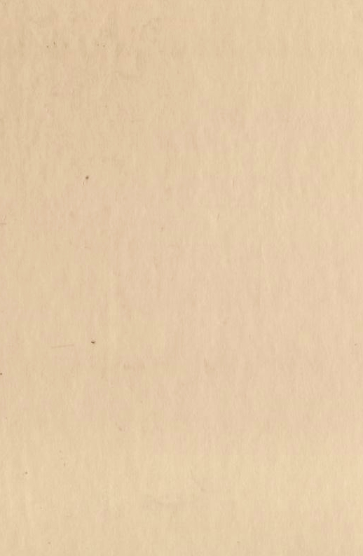 Бумажная книга «Жовтий князь», автор Василий Барка - фото №1