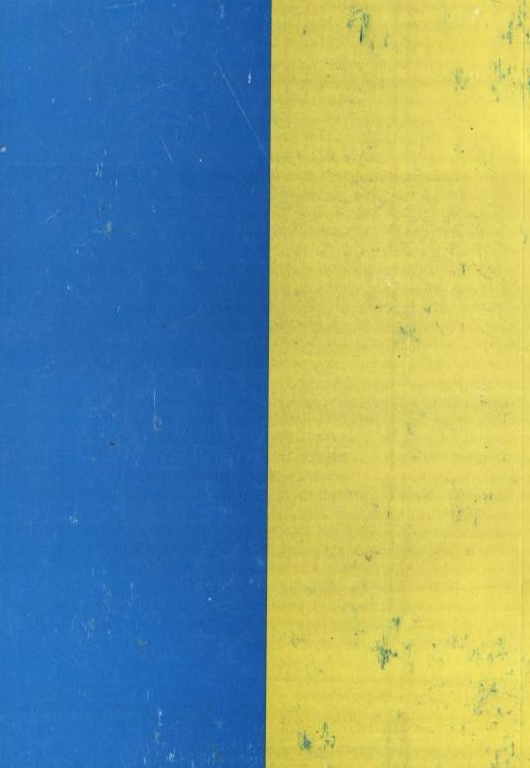 Паперова книга «Ідея і чин України», автор Дмитро Мирон-Орлик - фото №1