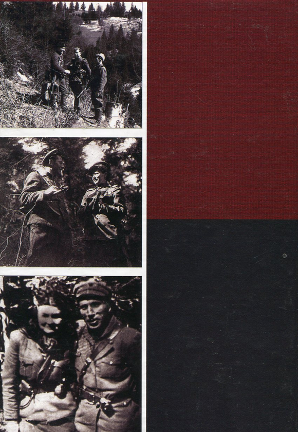 Паперова книга «Дрогобицька округа ОУН. Структура і керівний склад (1945 - 1952 рр.)», автор Василь Ільницький - фото №1