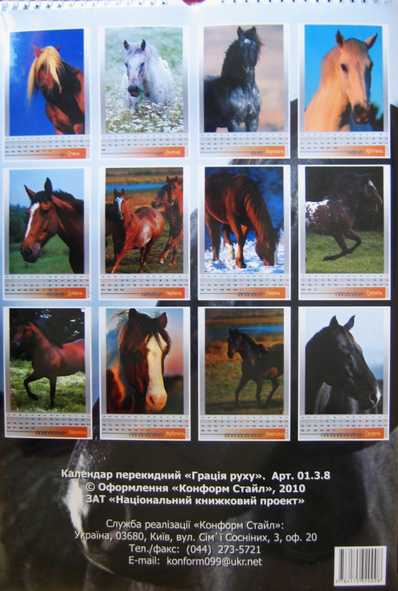 Бумажная книга «Настінний календар на 2011 рік. Грація руху» - фото №1
