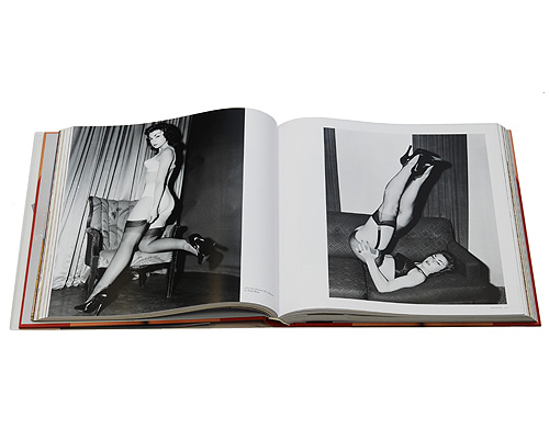 Бумажная книга «The Big Book of Legs», автор Дайан Хэнсон - фото №1