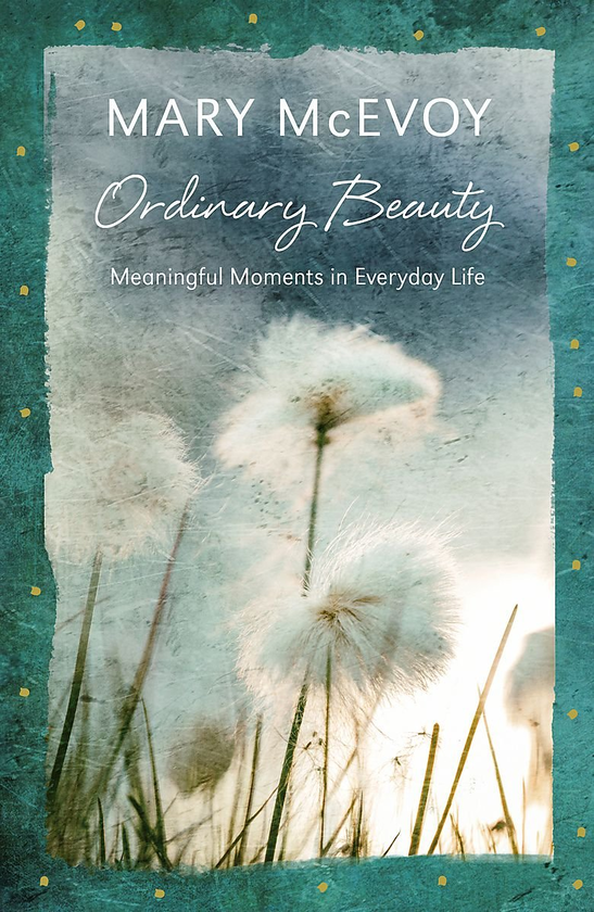 Паперова книга «Ordinary Beauty», автор Мері Мак’евої - фото №1
