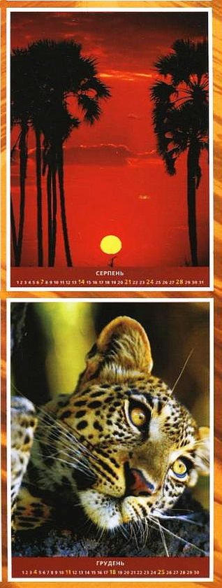 Паперова книга «Перекидний календар на 2011 рік. Африка» - фото №1