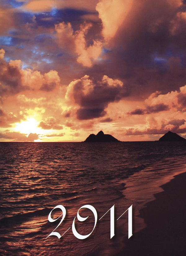 Книга Перекидний календар на 2011 рік. Кольори природи