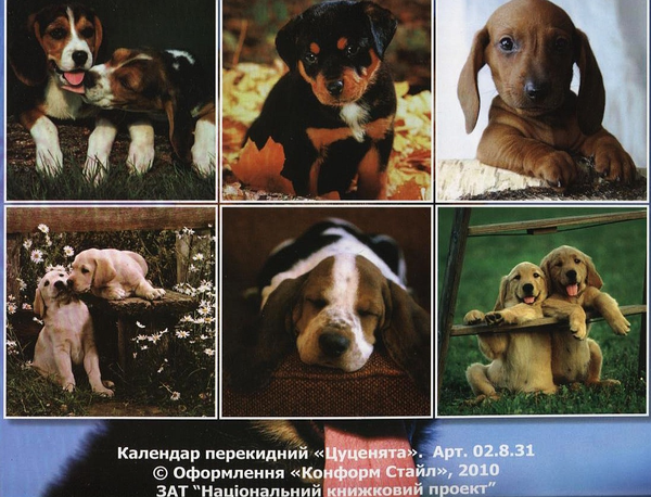 Бумажная книга «Перекидний календар на 2011 рік. Цуценята» - фото №1
