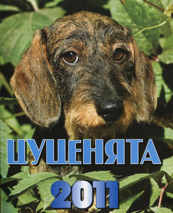 Бумажная книга «Перекидний календар на 2011 рік. Цуценята» - фото №1