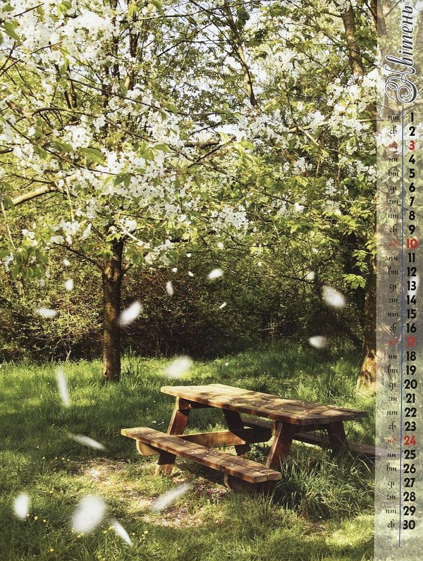 Бумажная книга «Перекидний календар на 2011 рік. Чотири сезони» - фото №1