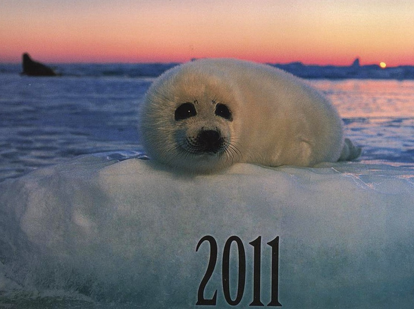 Перекидний календар на 2011 рік. Господарі природи