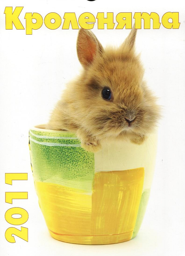 Книга Перекидний календар на 2011 рік. Кроленята