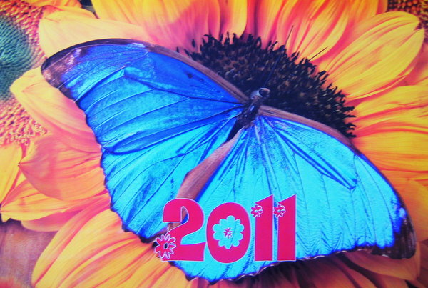 Перекидний календар на 2011 рік. Прекрасні квіти