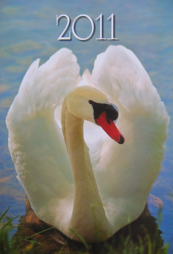 Книга Перекидний календар на 2011 рік. У світі тварин