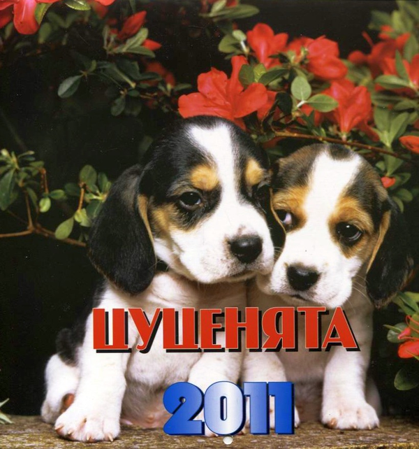 Перекидний календар на 2011 рік. Цуценята