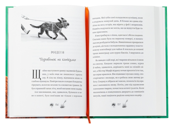 Бумажная книга «Рубі Феріґейл. Книга 1. Поклик магічних істот», автор Кира Гембри - фото №1