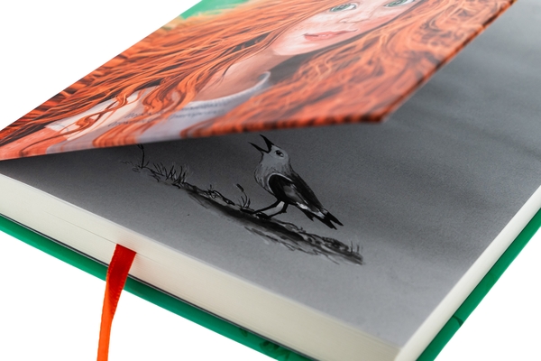 Бумажная книга «Рубі Феріґейл. Книга 1. Поклик магічних істот», автор Кира Гембри - фото №1