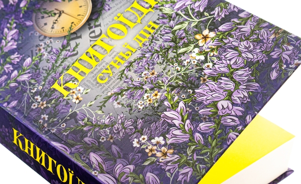 Бумажная книга «Книгоїди», автор Суньи Дин - фото №1