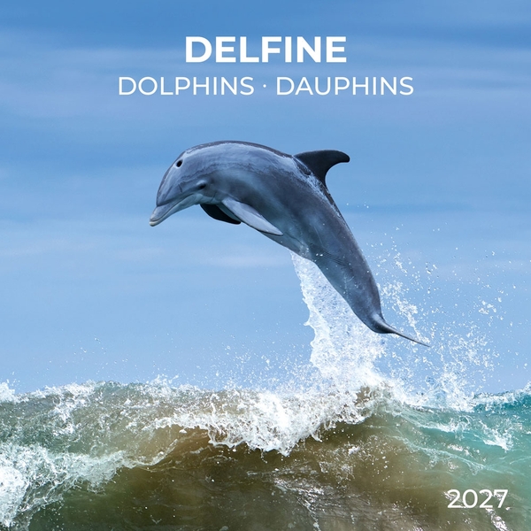 Паперова книга «Delfine / Dophins / Dauphins 2027» - фото №1