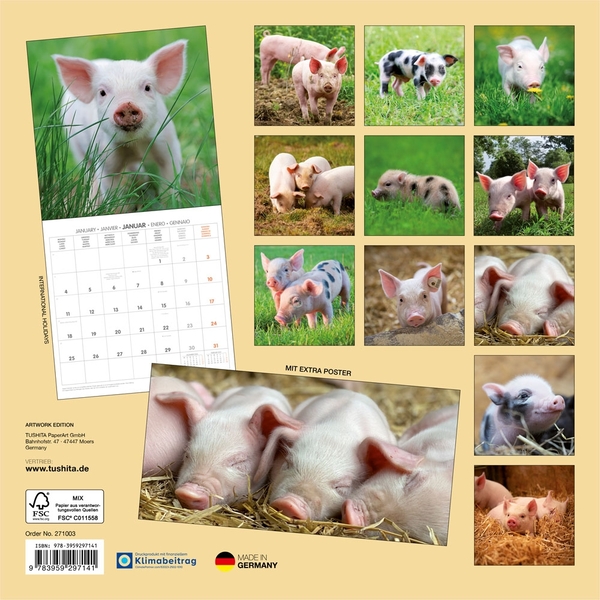 Бумажная книга «Schweinchen / Piggies / Cochons 2027» - фото №1