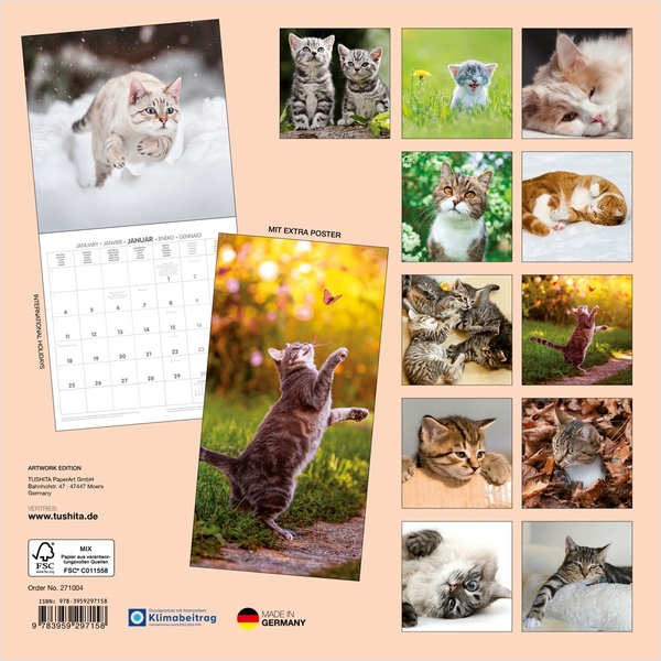 Бумажная книга «Katzen / Cats / Chatons 2027» - фото №1