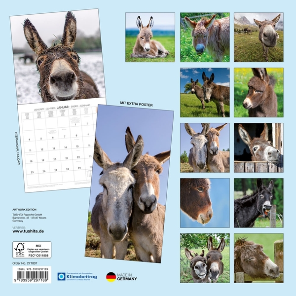Паперова книга «Esel / Donkeys / Ânes 2027» - фото №1