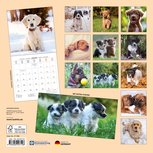 Бумажная книга «Hundewelpen / Puppy Dogs / Chiots 2027» - фото №1