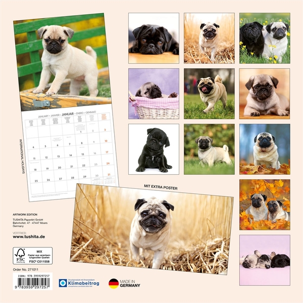Паперова книга «Möpse/Puglets/Roquets 2027» - фото №1