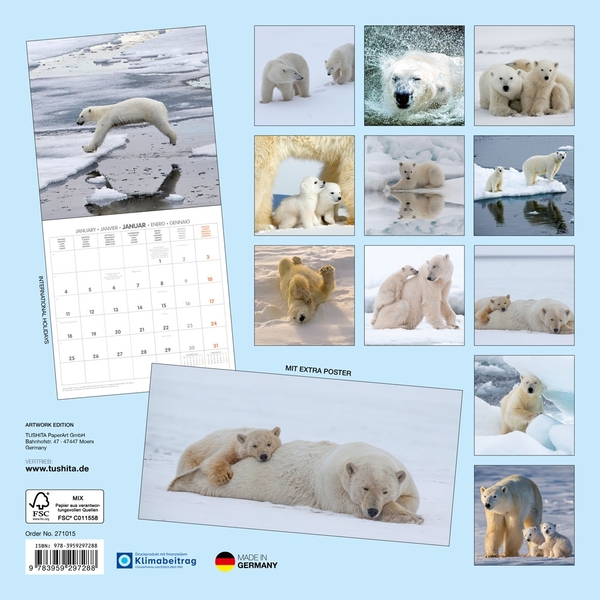 Паперова книга «Eisbären / Polar Bears / Ours Polaires 2027» - фото №1