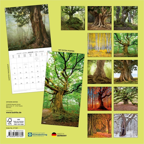 Бумажная книга «Die Kraft der Bäume / The Power of Trees / Le Pouvoir des Arbres 2027» - фото №1