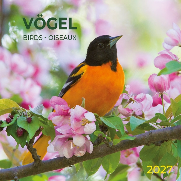 Паперова книга «Vögel / Birds / Oiseaux 2027» - фото №1