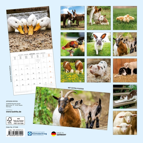 Паперова книга «Tiere vom Bauernhof / Farm Animals / Animaux de la Ferme 2027» - фото №1